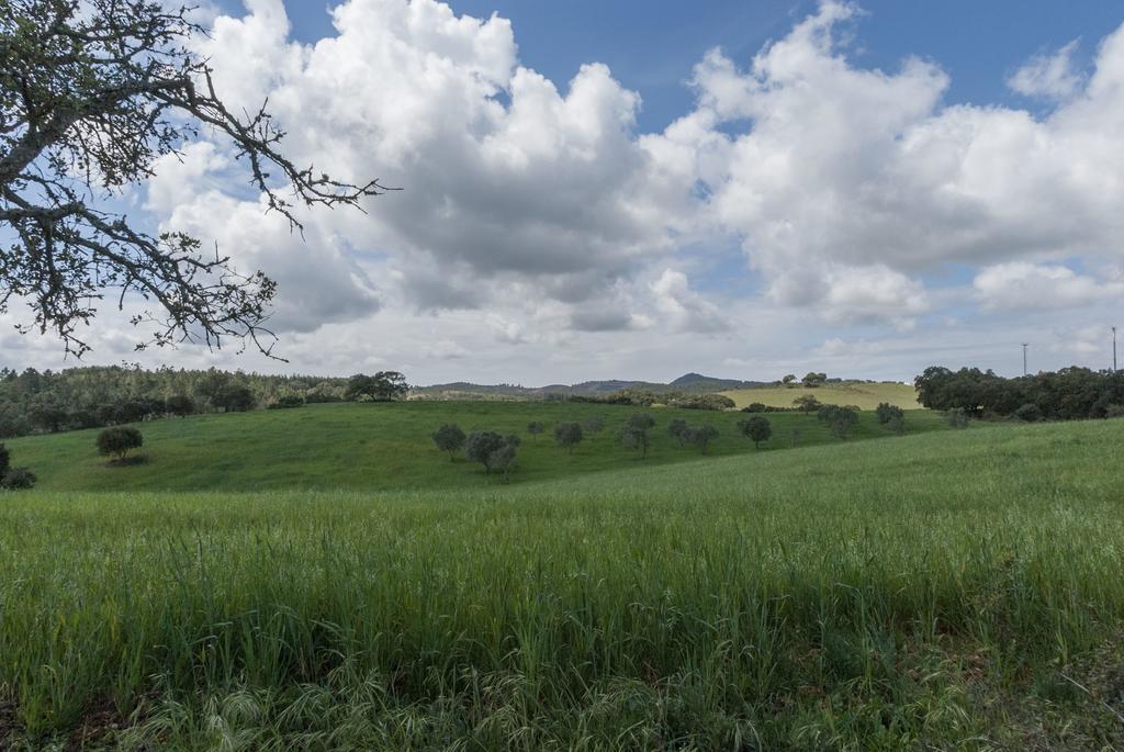 상루이스 Monte Pedras Negras 게스트하우스 외부 사진
